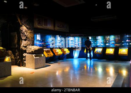 Eine Galerie voller verschiedener Rock Specemins. Im Rock and Mineral Museum in Bangkok, Thailand. Stockfoto