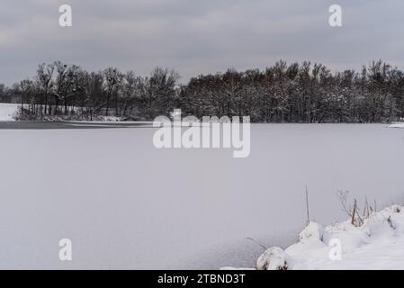 Eisbedeckter Teich mit Schnee und Wald im Hintergrund während des bewölkten Wintertages im Park Bozeny Nemcove in der Stadt Karvina in Tschechien Stockfoto