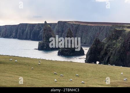 Stacks von Duncansby, Observatorium und Vogelfarm, Seestapel bei Duncansby Head, John o 'Groats, Caithness, Schottland, Vereinigtes Königreich Stockfoto