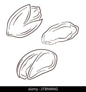 Pistachio icons line art style. Nuts in sketch, hand drawn style. Vector illustration isolated on white background. Stock Vektor