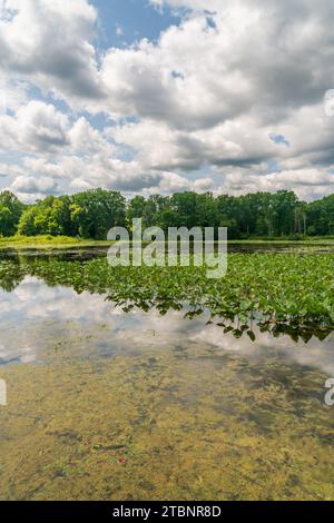 Die Wetlands, Cuyahoga Valley National Park in Ohio Stockfoto