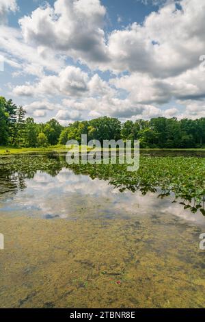 Die Wetlands, Cuyahoga Valley National Park in Ohio Stockfoto