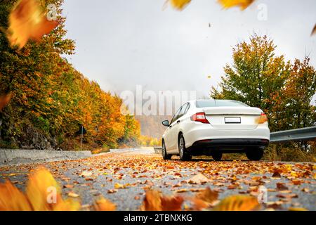 Das Auto auf einer Straße, die im Herbst abfährt Stockfoto