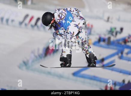 Zhangjiakou, chinesische Provinz Hebei. Dezember 2023. Liu Jiayu aus China tritt am 8. Dezember 2023 beim Finale der Damen-Halfpipe bei der FIS Snowboard World Cup in Zhangjiakou, nordchinesischer Provinz Hebei, an. Quelle: Yang Shiyao/Xinhua/Alamy Live News Stockfoto