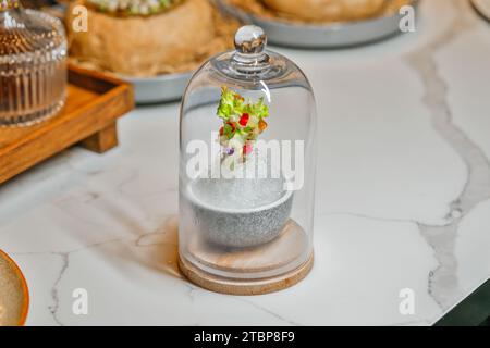 Pflanzen wachsen unter Glaskuppel auf Marmortisch. Nachhaltiges Wohnen und umweltfreundliche Wohnkultur. Stockfoto