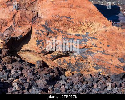 Farbenfrohe vulkanische Felsen bei Caldera Colorada ein Vulkankegel auf Lanzarote, Kanarischen Inseln. Stockfoto