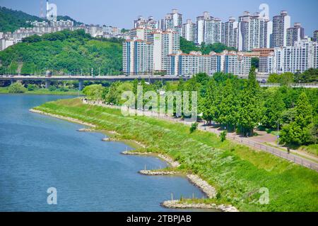 Ein Bild von Radwegen im Ttukseom Hangang Park Radwege. Stockfoto