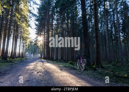 Ein Fahrrad auf einem unbefestigten Weg, umgeben von üppigen grünen Bäumen in einer Waldlandschaft Stockfoto