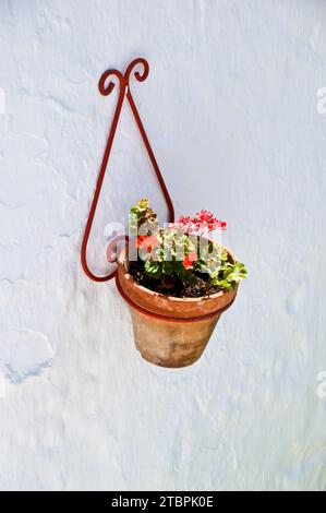 Eine lebhafte Darstellung von Rot- und Grüntönen, mit einem Metallgriff, der mit einer Kette roter Geranien verziert ist, die eine weiße Wand hinunterstürzt Stockfoto