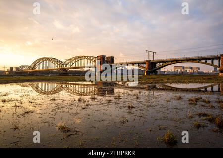 Die Suedbrücke, Eisenbahnbrücke über den Rhein, spiegelt sich im Hochwasser, im Hintergrund die Kranhäuser im Rheinauer Hafen, Köln, GE Stockfoto