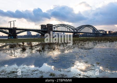 Die Suedbrücke, Eisenbahnbrücke über den Rhein spiegelt sich im Hochwasser, Köln. Die Suedbruecke spiegelt sich im Hochwasser, Eisenba Stockfoto