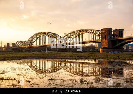 Die Suedbrücke, Eisenbahnbrücke über den Rhein spiegelt sich im Hochwasser, Köln. Die Suedbruecke spiegelt sich im Hochwasser, Eisenba Stockfoto