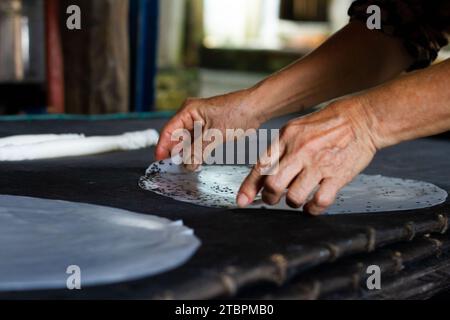 MI-Sön-Schutzgebiet, Vietnam Stockfoto