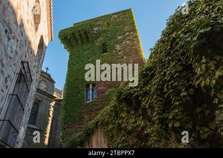 Turm, bedeckt mit Efeu neben der Iglesia de San Mateo. Caceres, Extremadura, Spanien Stockfoto