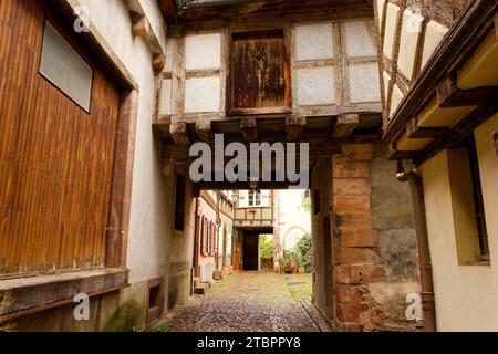 Herbstlicher detaillierter Blick auf die französische Stadt Riquevihr Elsass, Fotos von einem Spaziergang Stockfoto