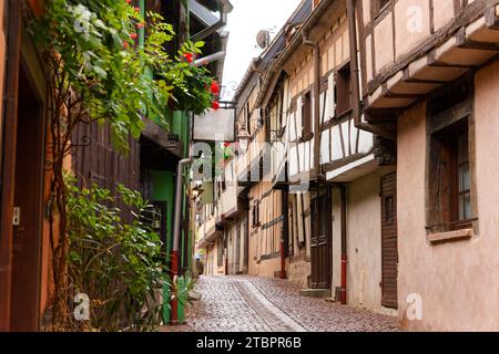 Herbstlicher detaillierter Blick auf die französische Stadt Riquevihr Elsass, Fotos von einem Spaziergang Stockfoto