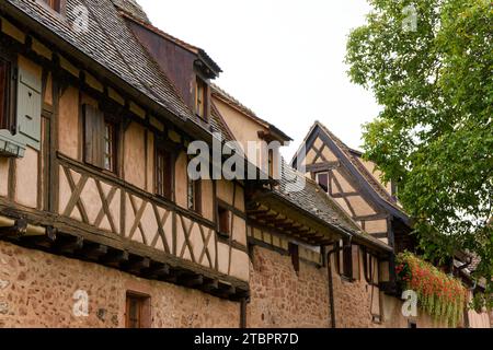 Herbstlicher detaillierter Blick auf die französische Stadt Riquevihr Elsass, Fotos von einem Spaziergang Stockfoto