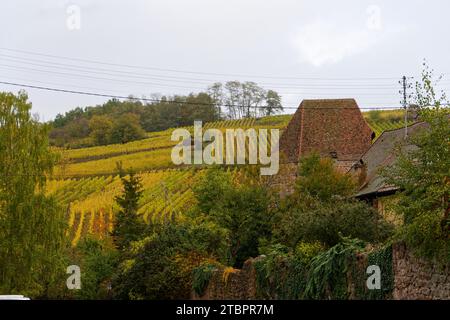 Herbstlicher detaillierter Blick auf die französische Stadt Riquevihr Elsass, Fotos von einem Spaziergang Stockfoto