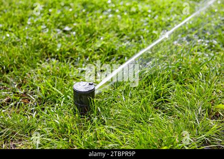 Automatische Bewässerung auf einem grünen Rasen im Garten. Stockfoto