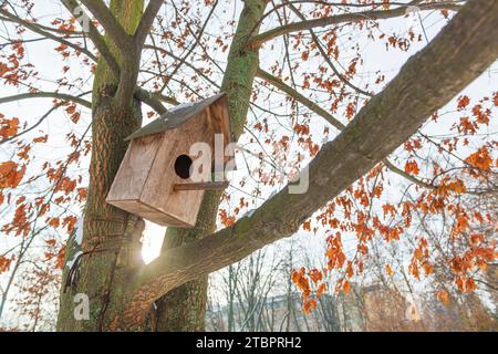 Vogelhaus auf dem Baumzweig. Vogelfutter im Park Stockfoto