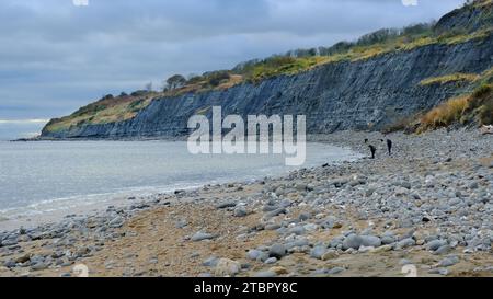 Paar Fossilienjagd am Monmouth Beach, Lyme Regis - John Gollop Stockfoto