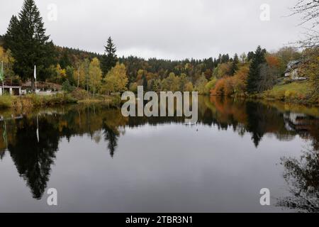 Der Herbstwald spiegelt sich im Klosterteich bei Sankt Blasien im Schwarzwald wider Stockfoto