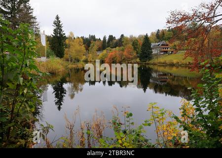 Der Herbstwald spiegelt sich im Klosterteich bei Sankt Blasien im Schwarzwald wider Stockfoto