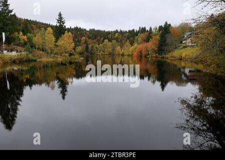 Der Herbstwald spiegelt sich im Klosterteich bei Sankt Blasien im Schwarzwald wider Stockfoto