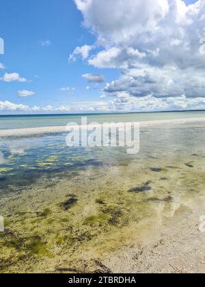 Deutschland, Mecklenburg-Vorpommern, Halbinsel Fischland-Darß-Zingst, Blick auf das Meerwasser im Naturschutzgebiet des Nationalparks Vorpommersche Boddenlandschaft an der Ostseeküste Prerow Stockfoto