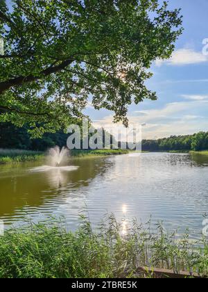 Blick auf den Prerowbach im Ostseebad Prerow, Halbinsel Fischland-Darß-Zingst, Mecklenburg-Vorpommern, Deutschland Stockfoto