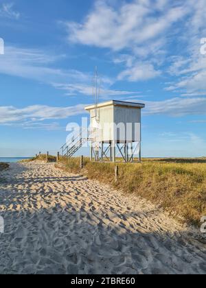 Hölzerne Strandbeobachtung am Strandübergang, hoher Sitz am Meer, Prerow an der Ostsee, Halbinsel Fischland-Darß-Zingst, Mecklenburg-Vorpommern, Deutschland Stockfoto