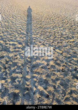 Deutschland, Mecklenburg-Vorpommern, Halbinsel Fischland-Darß-Zingst, Ferienort Prerow, abendliche Atmosphäre am Sandstrand, lange Schattenfigur auf Sand Stockfoto