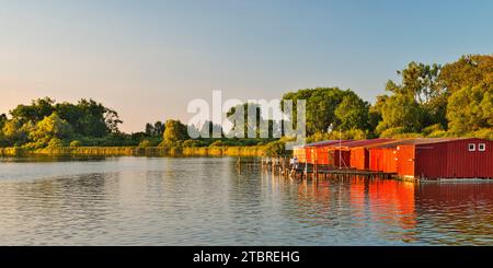 Europa, Deutschland, Norddeutschland, Mecklenburg-Vorpommern, Mecklenburgische Seenplatte, Region Müritz, Nationalpark Müritz, Bootshäuser in der Nähe von Rechlin Stockfoto