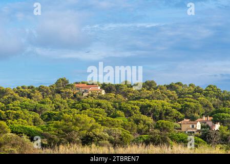 Blick auf das kleine Dorf Giens südlich von Hyeres an der südfranzösischen Küste. Stockfoto