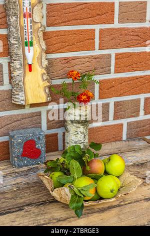 Hausgemachte Schüssel mit Äpfeln auf einem alten Holztisch, Gartenstillleben, Vase mit Blumen, Thermometer Stockfoto