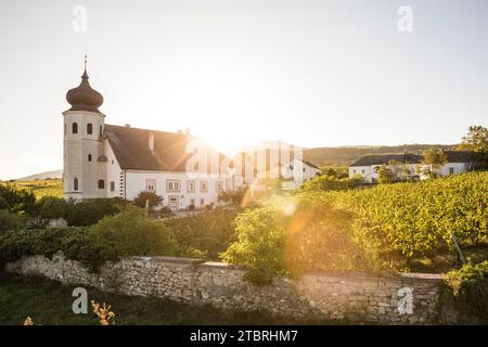 Freigut Thallern, auch bekannt als Stiftsweingut Heiligenkreuz, Weingut Heiligenkreuz, Thallern, Gumpoldskirchen, Niederösterreich, Österreich, Europa Stockfoto