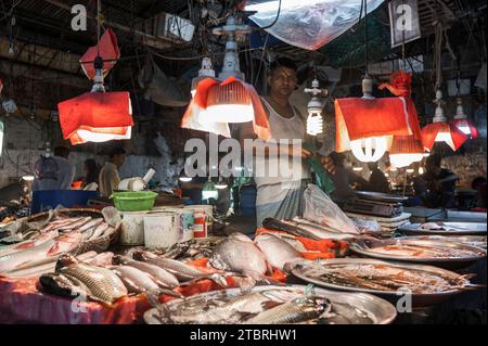 Der typische Markt von Bangladesch. Metzger, Fisch, Gemüse und Gewürze. Mirpur District, Dhaka, Bangladesch Stockfoto