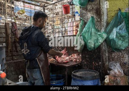 Der typische Markt von Bangladesch. Metzger, Fisch, Gemüse und Gewürze. Mirpur District, Dhaka, Bangladesch Stockfoto