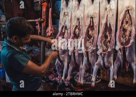 Der typische Markt von Bangladesch. Metzger, Fisch, Gemüse und Gewürze. Mirpur District, Dhaka, Bangladesch Stockfoto