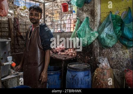 Der typische Markt von Bangladesch. Metzger, Fisch, Gemüse und Gewürze. Mirpur District, Dhaka, Bangladesch Stockfoto