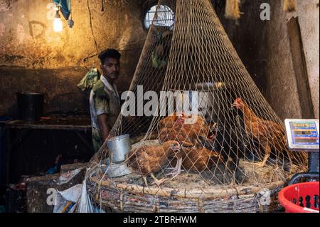 Der typische Markt von Bangladesch. Metzger, Fisch, Gemüse und Gewürze. Mirpur District, Dhaka, Bangladesch Stockfoto