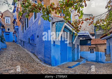 Enge Gassen mit blauen Wänden, Häusern und Türen in Medina / historische Altstadt der Stadt Chefchaouen / Chaouen, Marokko Stockfoto