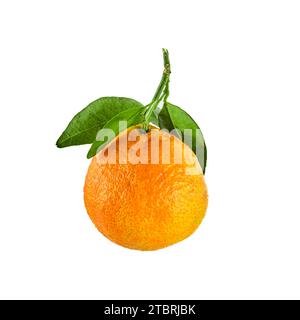 Mandarinen- oder Clementine-Orangenfrucht mit grünem Blatt isoliert auf weißem Hintergrund Stockfoto