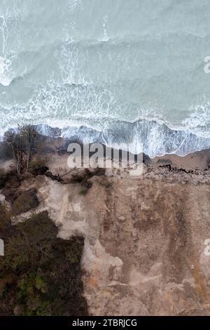 Gefallener Baum in der Nähe der Klippen Möns Klint, Surf der Ostsee, Insel Mön, Dänemark Stockfoto