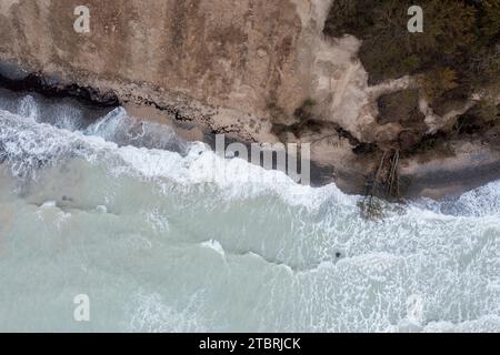 Gefallener Baum in der Nähe der Klippen Möns Klint, Surf der Ostsee, Insel Mön, Dänemark Stockfoto