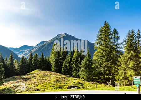 Buchebenstraße, Bucheben, Rote Wand, Gamskopf, 2765 m, Edlenkopf 2923 m, Goldberggruppe, Rauris, Raurisertal, Pinzgau, Salzburger Land, Österreich Stockfoto