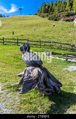 Holzeule Skulptur, Bergstation Hochalmbahn, 1753 m, Rauris, Rauristal, Pinzgau, Salzburger Land, Österreich Stockfoto