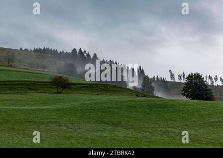 Morgennebel, Almweide auf Fröstlberg im Rauristal, Rauris, Pinzgau, Salzburger Land, Österreich Stockfoto