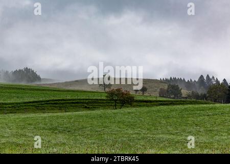 Morgennebel, Almweide auf Fröstlberg im Rauristal, Rauris, Pinzgau, Salzburger Land, Österreich Stockfoto