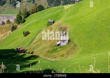 Almweide in Herzform, Fröstlberg, Rauris, Rauristal, Pinzgau, Salzburger Land, Österreich Stockfoto